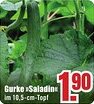 B1 Discount Baumarkt Gurke Saladin Angebot