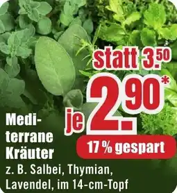 B1 Discount Baumarkt Mediterrane Kräuter Angebot