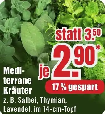 B1 Discount Baumarkt Mediterrane Kräuter Angebot