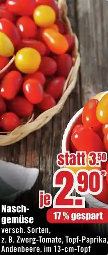 B1 Discount Baumarkt Naschgemüse Angebot