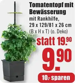 B1 Discount Baumarkt Tomatentopf mit Bewässerung Angebot