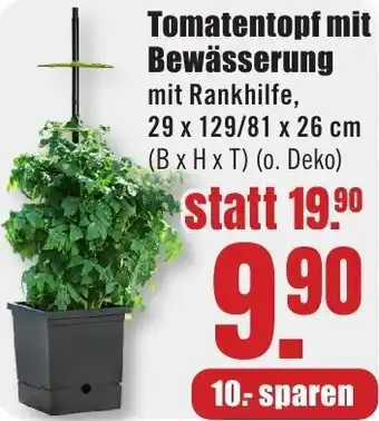 B1 Discount Baumarkt Tomatentopf mit Bewässerung Angebot