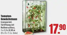 B1 Discount Baumarkt Tomaten Gewächshaus Angebot