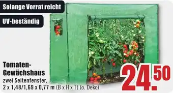 B1 Discount Baumarkt Tomaten Gewächshaus Angebot