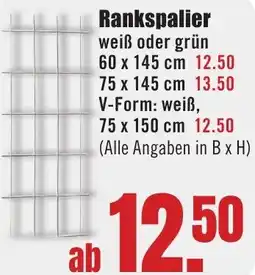 B1 Discount Baumarkt Rankspalier Angebot