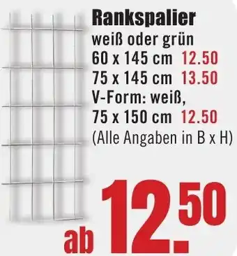B1 Discount Baumarkt Rankspalier Angebot