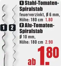 B1 Discount Baumarkt Stahl-Tomaten Spiralstab Angebot