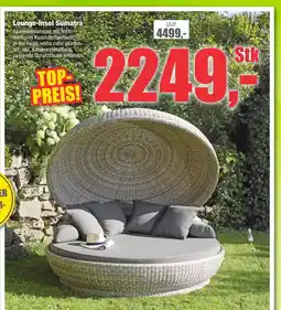 Dekor-Markt Lounge-insel sumatra Angebot