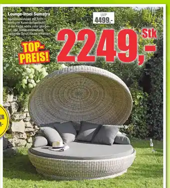 Dekor-Markt Lounge-insel sumatra Angebot