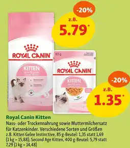 Fressnapf Royal canin kitten Angebot