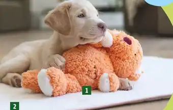 Fressnapf Anione pepe & kitty hundespielzeug Angebot