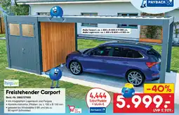 Netto Marken-Discount Pergoline freistehender carport Angebot