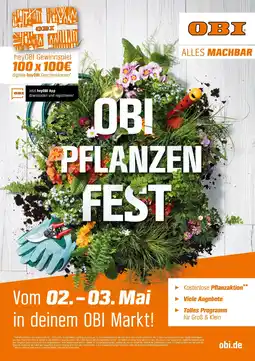 OBI Obi obi pflanzen fest Angebot