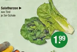V Markt Salatherzen Angebot