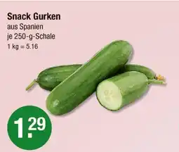 V Markt Snack gurken Angebot