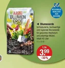 V Markt A. reiter blumenerde Angebot