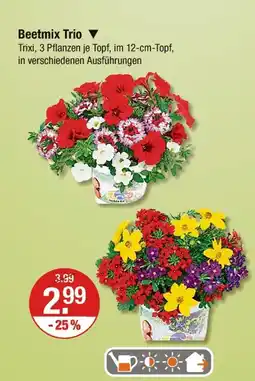 V Markt Beetmix trio Angebot