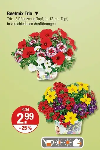 V Markt Beetmix trio Angebot