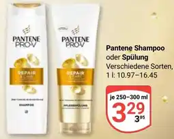 Globus Pantene Shampoo oder Spülung Angebot