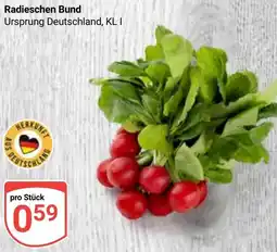 Globus Radieschen Bund Angebot