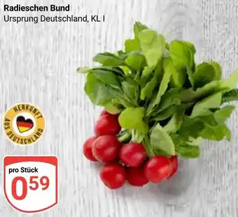 Globus Radieschen Bund Angebot