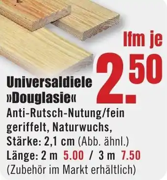 B1 Discount Baumarkt Universaldiele Douglasie Angebot