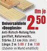 B1 Discount Baumarkt Universaldiele Douglasie Angebot