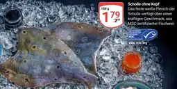 Globus Scholle ohne Kopf Angebot