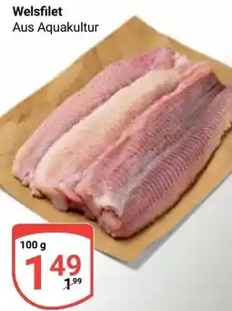 Globus Welsfilet Angebot