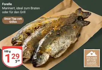 Globus Forelle Angebot