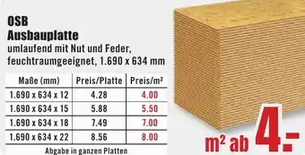 B1 Discount Baumarkt OSB Ausbauplatte Angebot