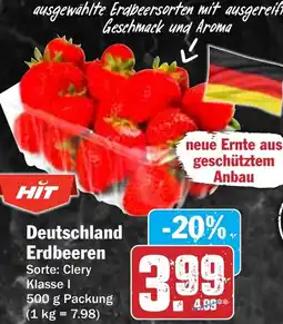 AEZ Deutschland Erdbeeren Angebot