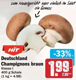 AEZ Deutschland Champignons braun Angebot