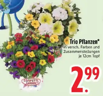 Edeka Trio Pflanzen Angebot