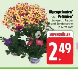 Edeka Alpenpetunien* oder Petunien* Angebot