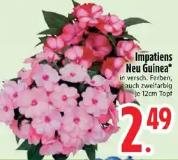 Edeka Impatiens Neu Guinea* Angebot