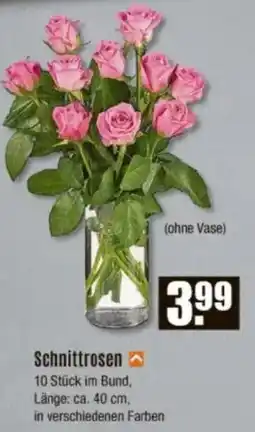 V Baumarkt Schnittrosen Angebot