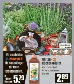 V Baumarkt Garten- Küchenkräuter Angebot