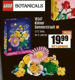 V Baumarkt LEGO BOTANICALS Angebot