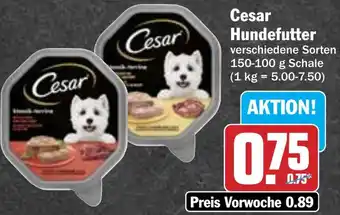 AEZ Cesar Hundefutter Angebot