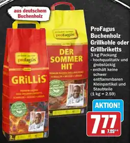 AEZ ProFagus Buchenholz Grillkohle oder Grillbriketts Angebot