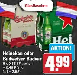 AEZ Heineken oder Budweiser Budvar Angebot