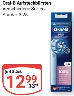 Globus Oral-B Aufsteckbürsten Angebot