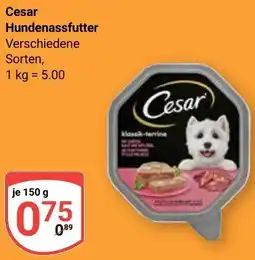 Globus Cesar Hundenassfutter Angebot