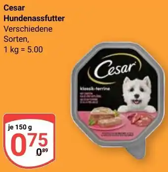 Globus Cesar Hundenassfutter Angebot