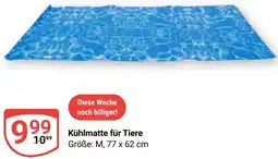Globus Kühlmatte für Tiere Angebot