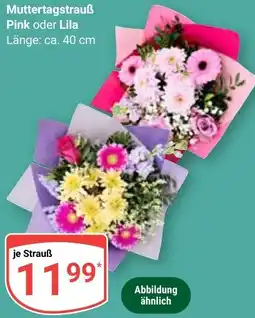 Globus Muttertagstrauß Pink oder Lila Angebot