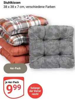 Globus Stuhlkissen Angebot