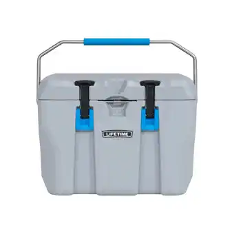 toom Baumarkt Lifetime Kühlbox 'Premium' Kunststoff grau 26 l 33 x 55 x 41 cm Angebot