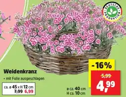 Thomas Philipps Weidenkranz Angebot